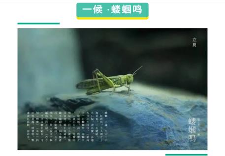 Screenshot_20200507_112145_com.tencent.mm