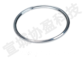 XY17.5003.07活塞擋圈