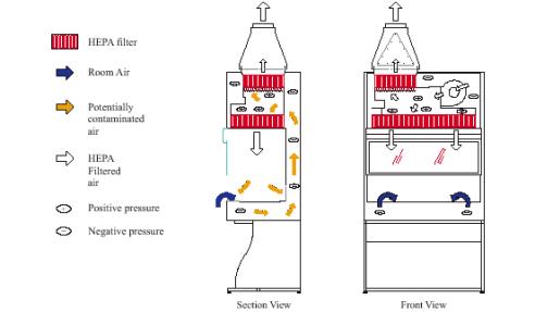 CLASS II TYPE A2 BIOLOGICAL SAFETY CABINET
