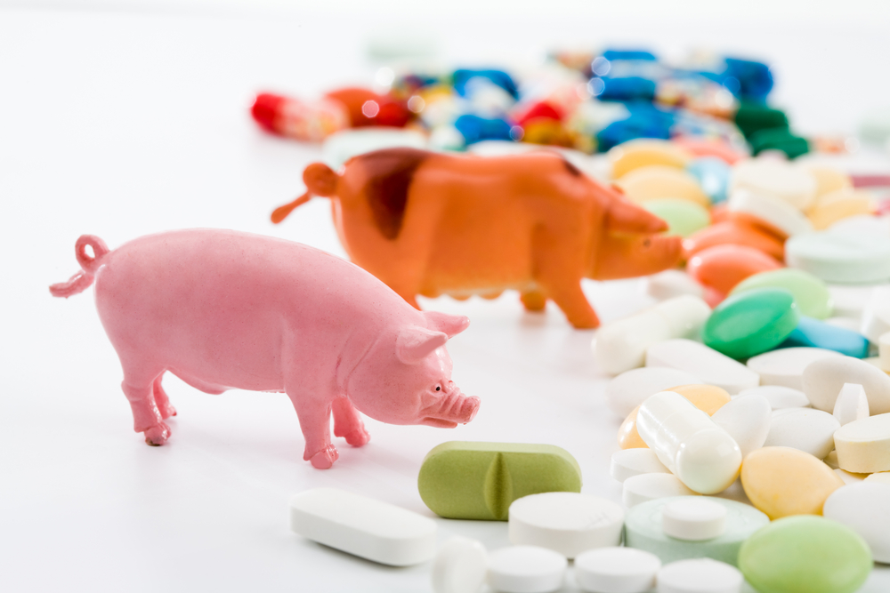 pigs-pills