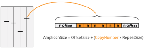 VNTR copy number analysis