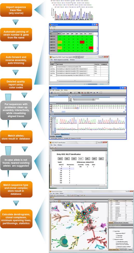MLST analysis workflow