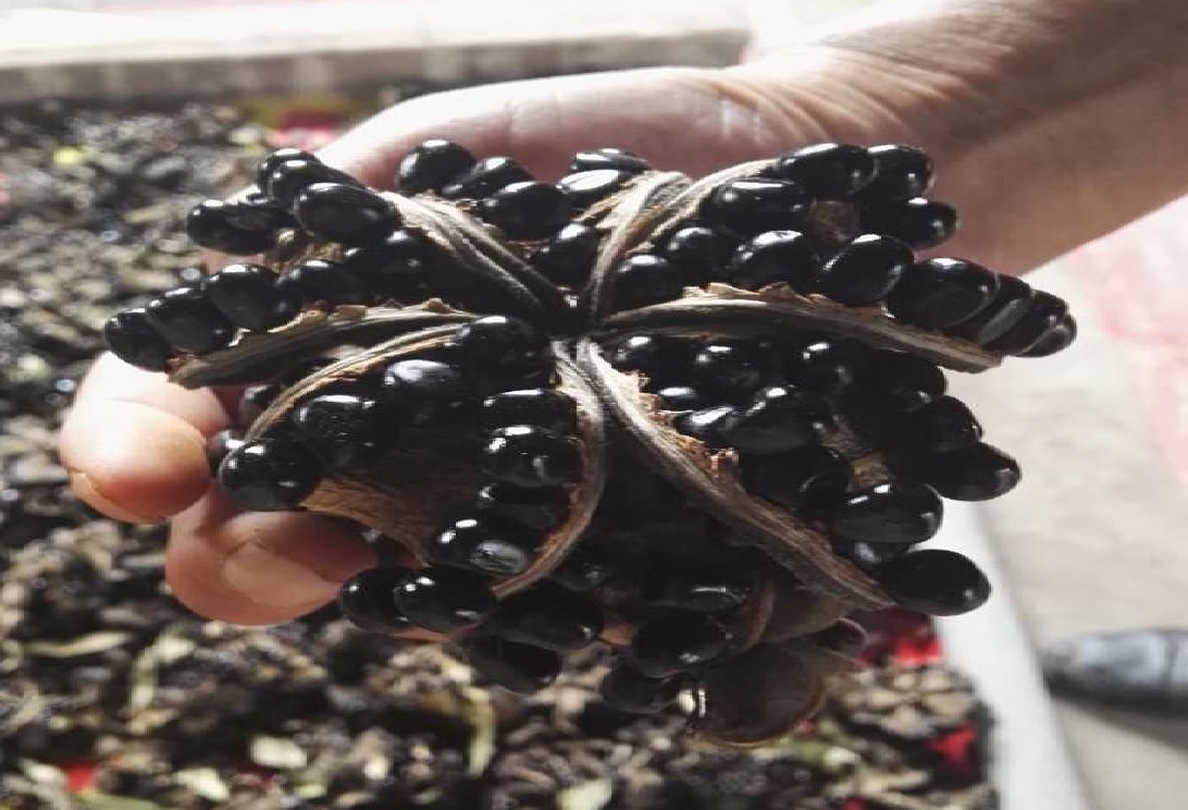 微信图片_20180509145431