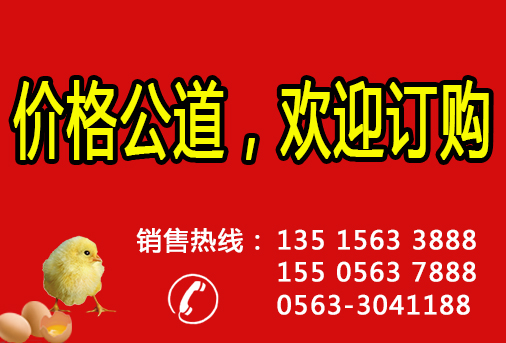 订购热线