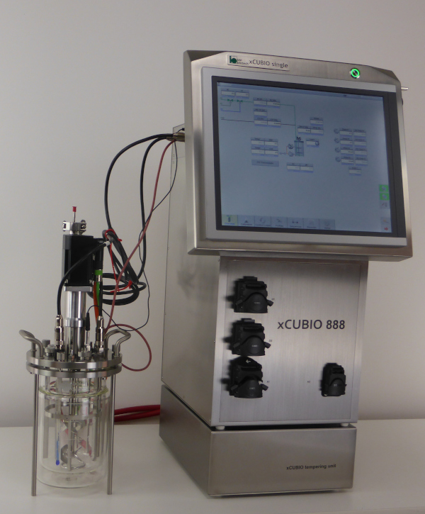 1.xCUBIOSingle