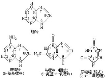 合成酶