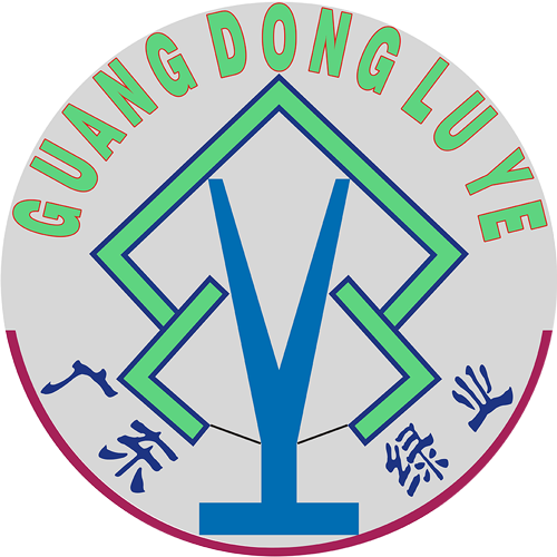 未标题-2