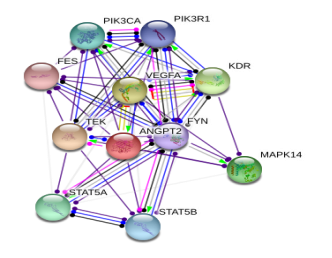 图片6