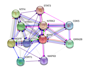 图片7