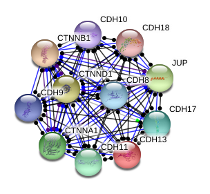 图片14