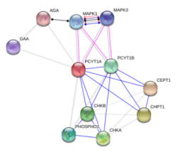 图片21