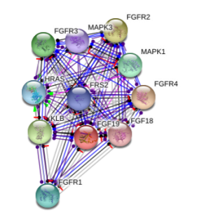 图片24
