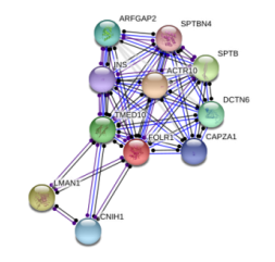 图片26