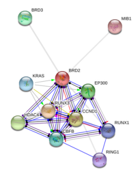 图片27