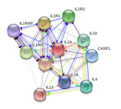 图片52