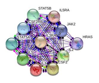图片54