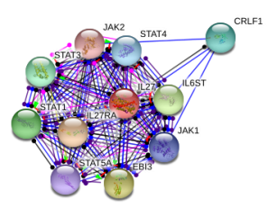 图片62