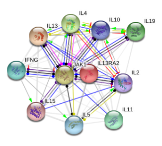 图片67