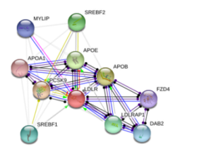 图片76