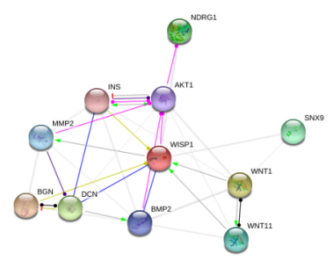 图片115