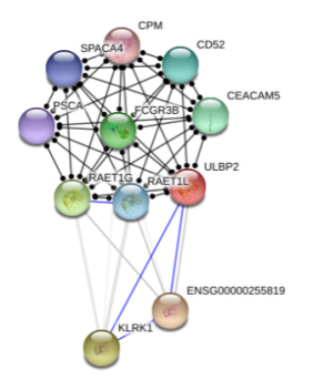 图片117