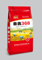 微信图片_20241114175034