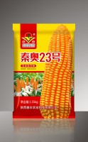 微信图片_20241114175659-1