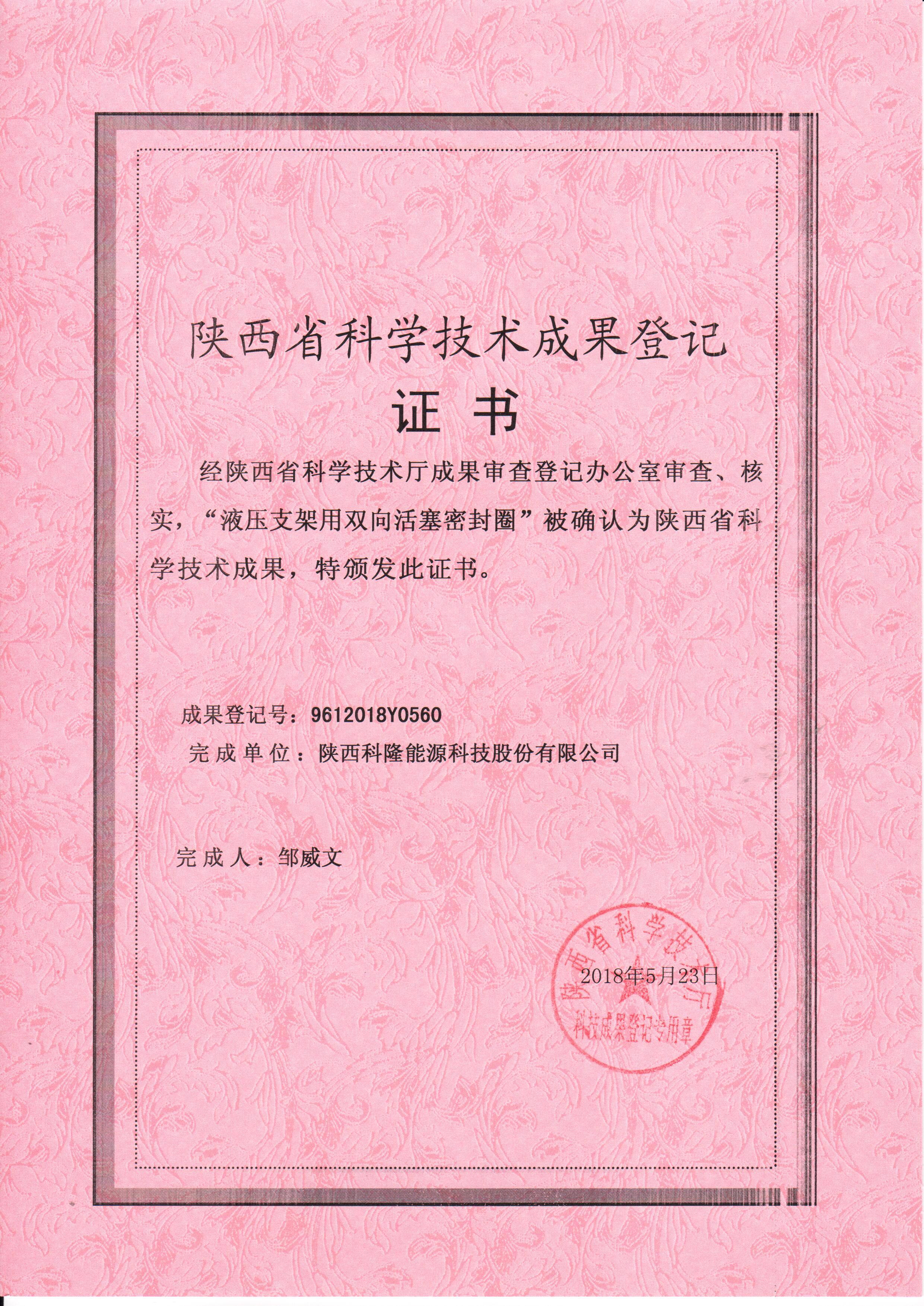 液壓支架用雙向活塞密封圈