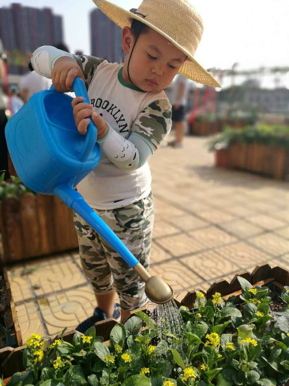 富群生态屋顶活动的副本2