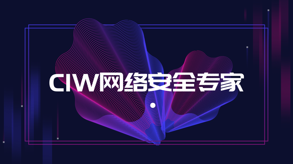 CIW网络安全专家