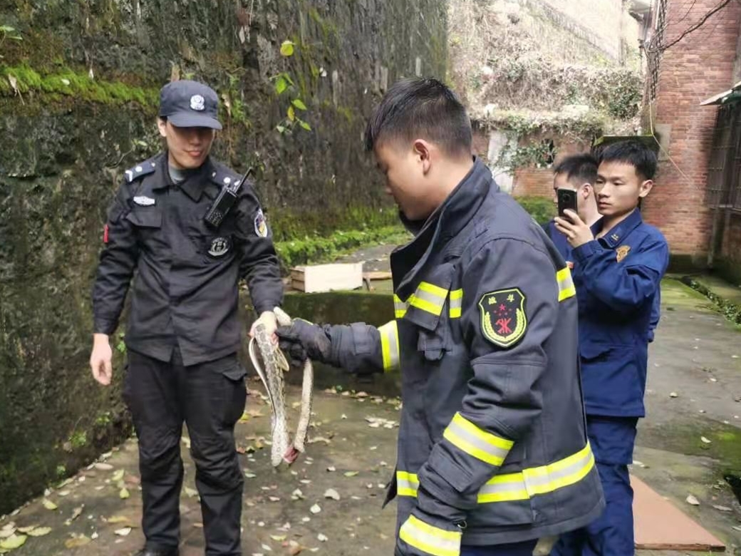 邵阳,大祥,公安,推进,教育,整顿,深化,警察,与, . 邵阳大祥公安：推进教育整顿，深化为民服务