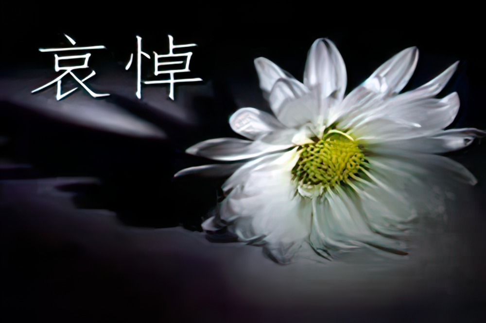 創安公司黨員干部職工收聽收看江澤民同志追悼大會深切悼念江澤民同志