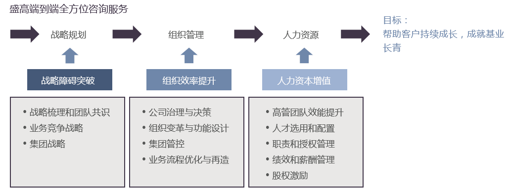 战略组织人