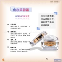 幻灯片13