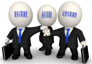 尽职调查