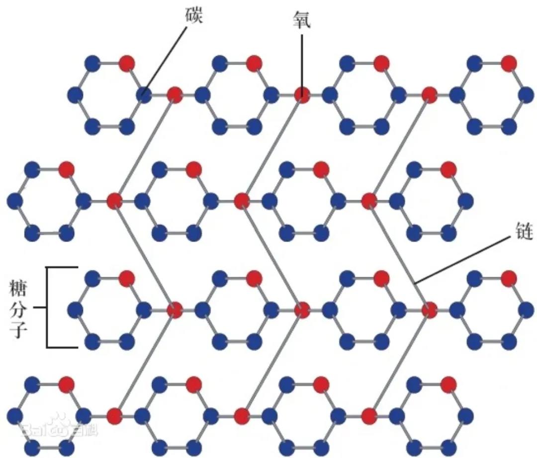 纤维素分子结构