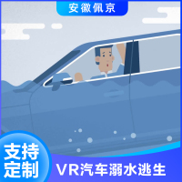 VR汽车溺水逃生