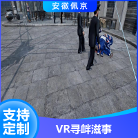 vr寻衅滋事