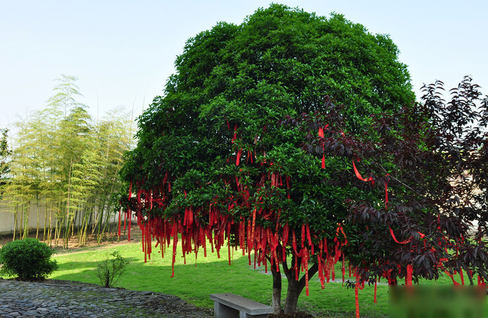 桃花潭景区-5