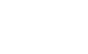 飞鹰网站主logo