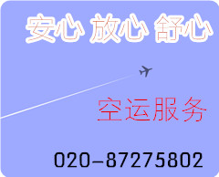 上海航空货运|上海空运|空运公司|上海空运物流