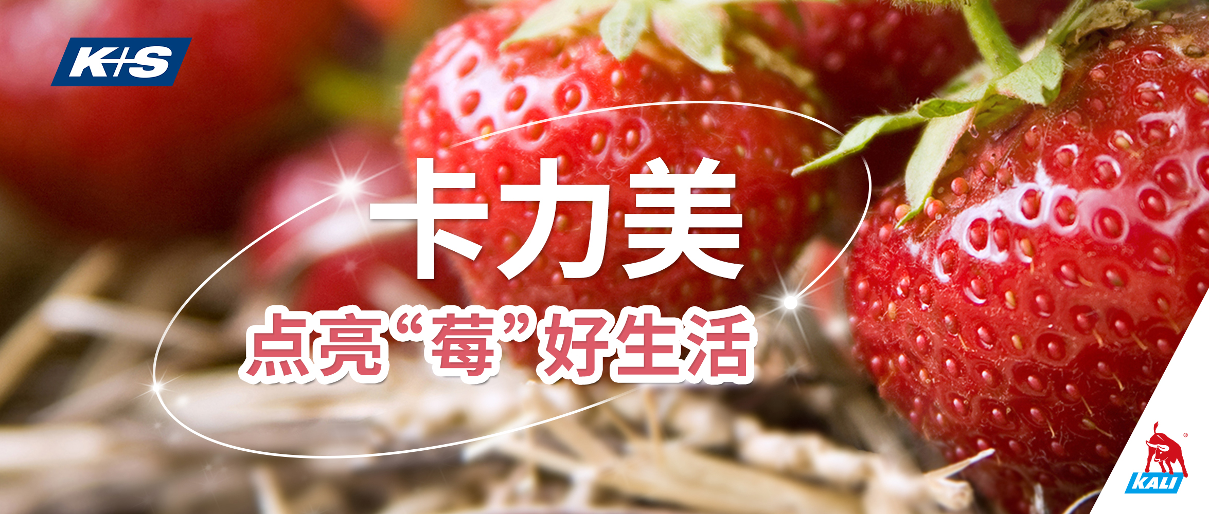 红牛卡力美
