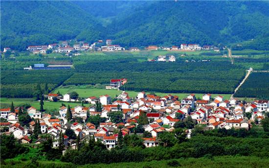 宁国市中溪镇夏林竹林山庄_宁国夏霖农家乐_夏霖风景区住宿