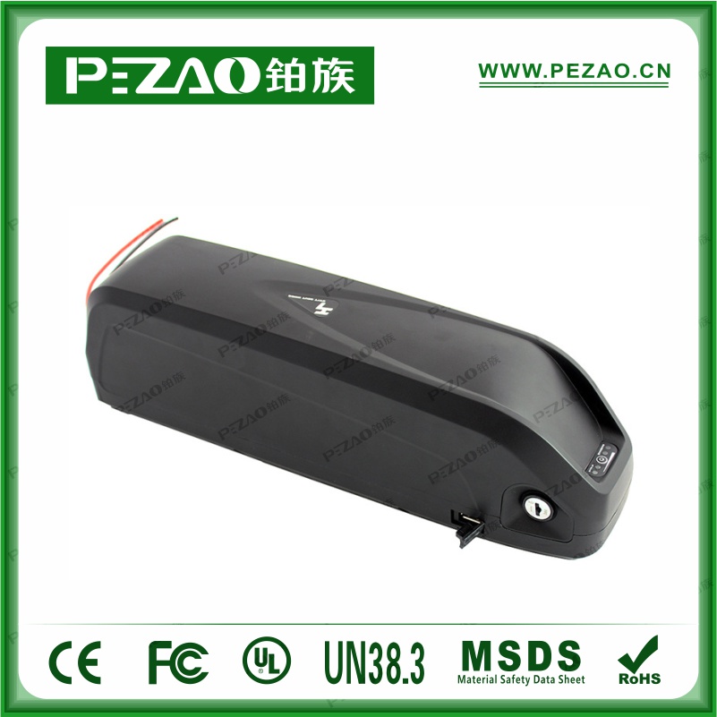 鉑族動力電池 電動車電池PZ-ZX06