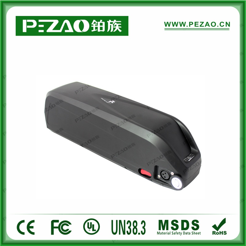 鉑族動力電池 電動車電池PZ-ZX062
