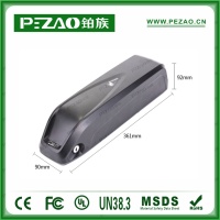 鉑族動力電池 電動車電池PZ-ZX064