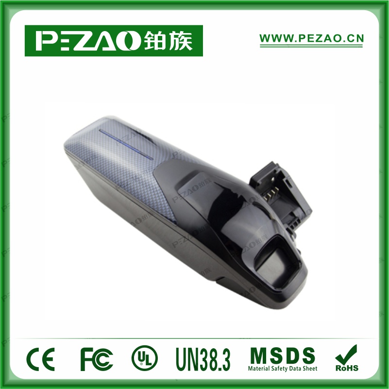 鉑族動力電池 電動車電池PZ-ZX011