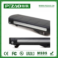 鉑族動力電池 電動車電池PZ-ZX022