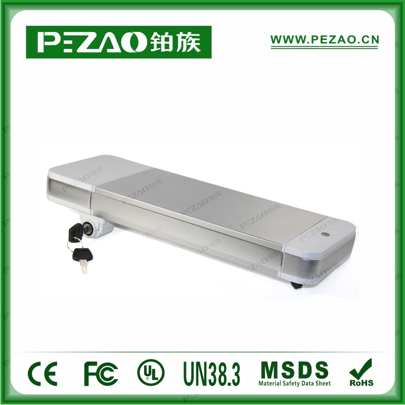鉑族動力電池 電動車電池PZ-ZX02