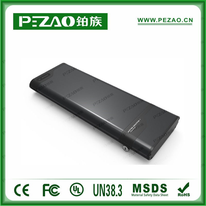 鉑族動力電池 電動車電池PZ-ZX02